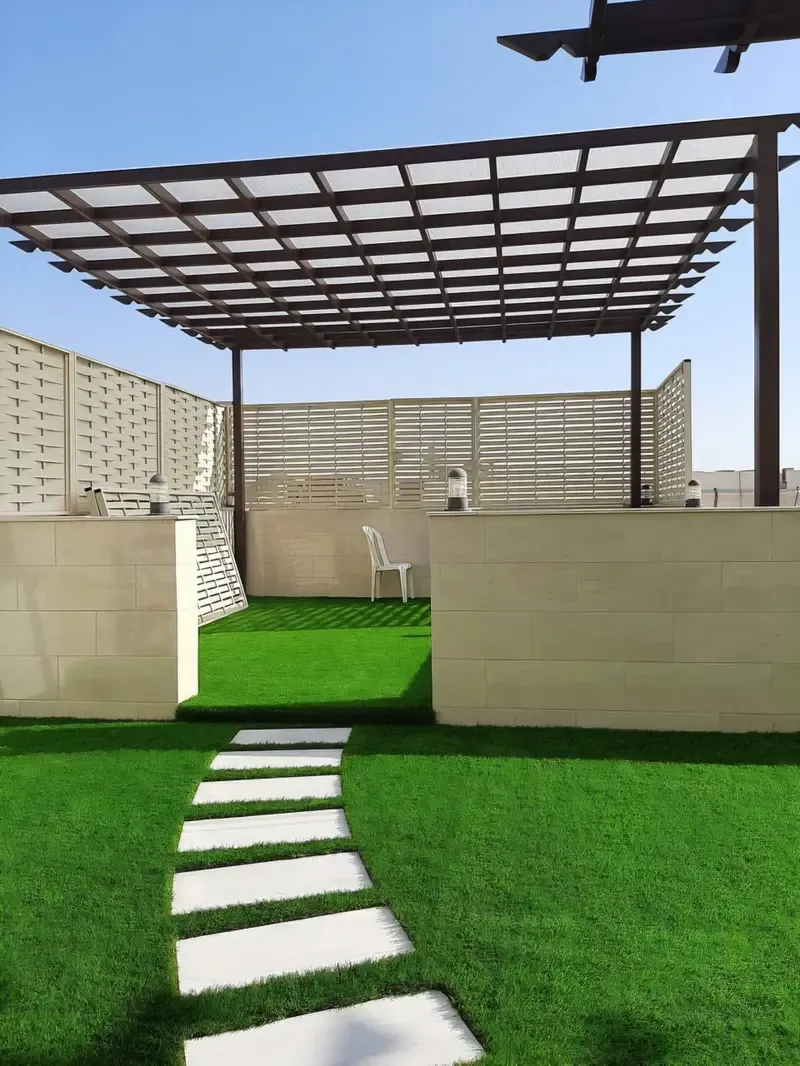 صورة المقال