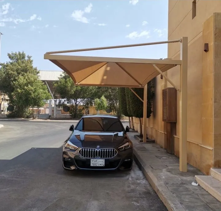 صورة المقال