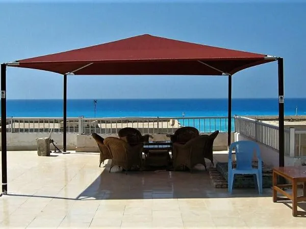 صورة المقال