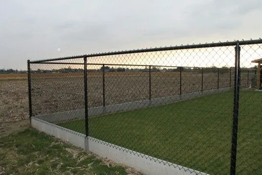 صورة المقال