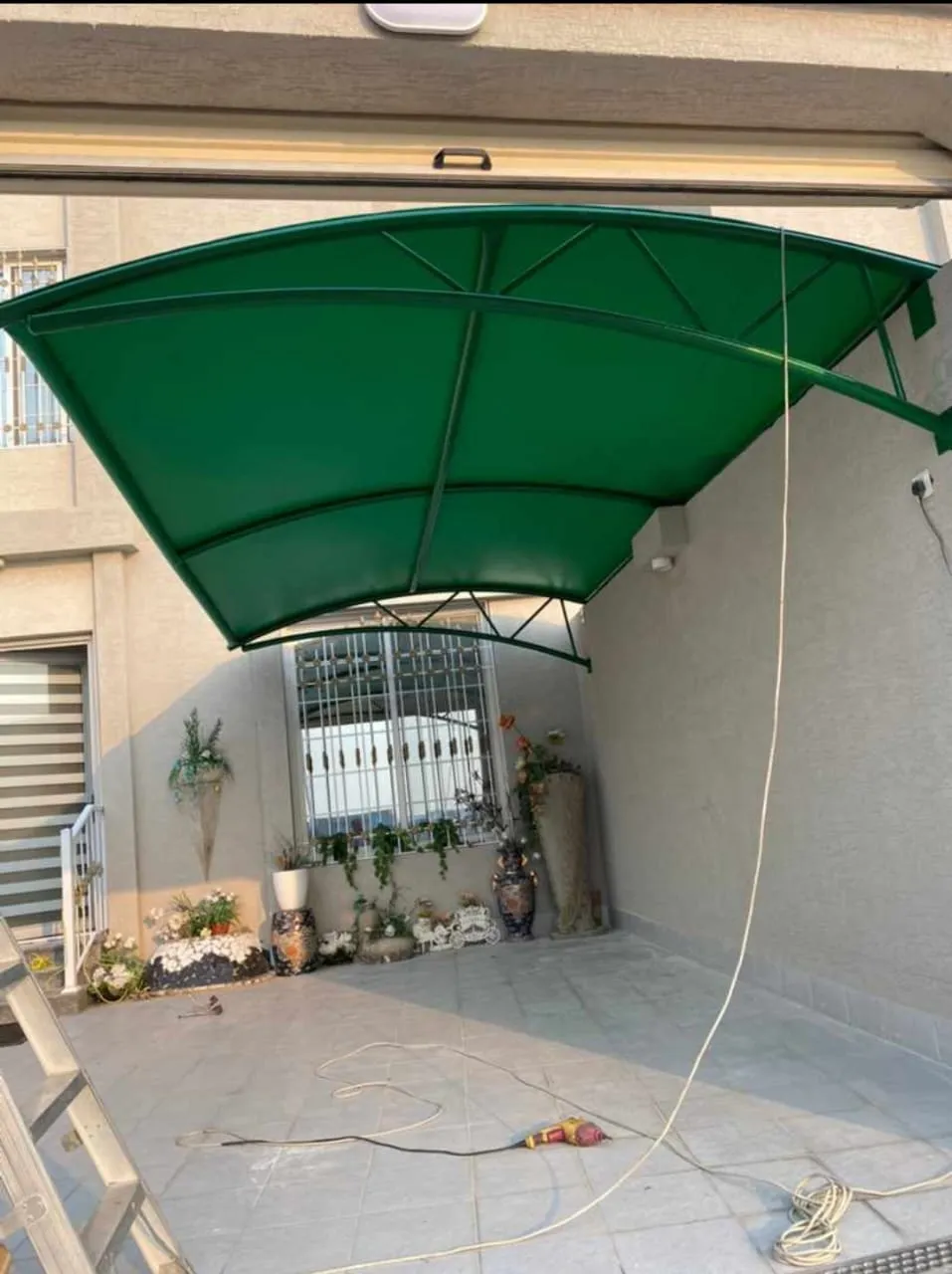 صورة المقال