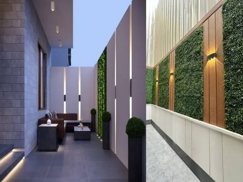 صورة المقال