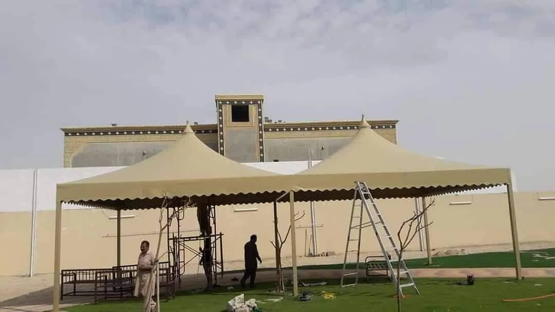 صورة المقال