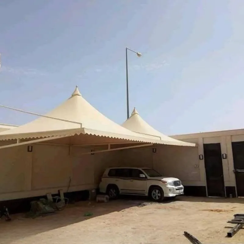 صورة المقال