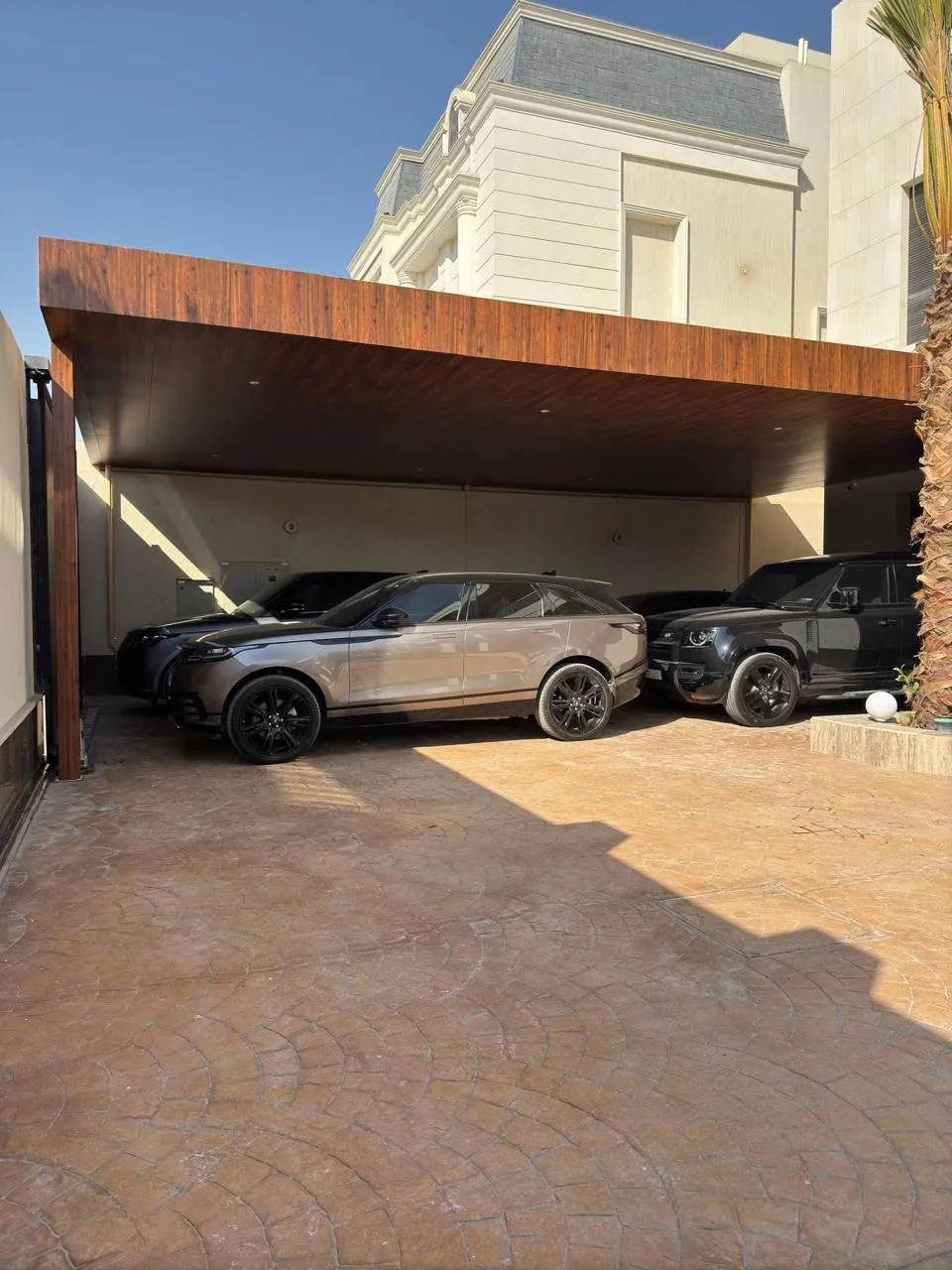 صورة المقال