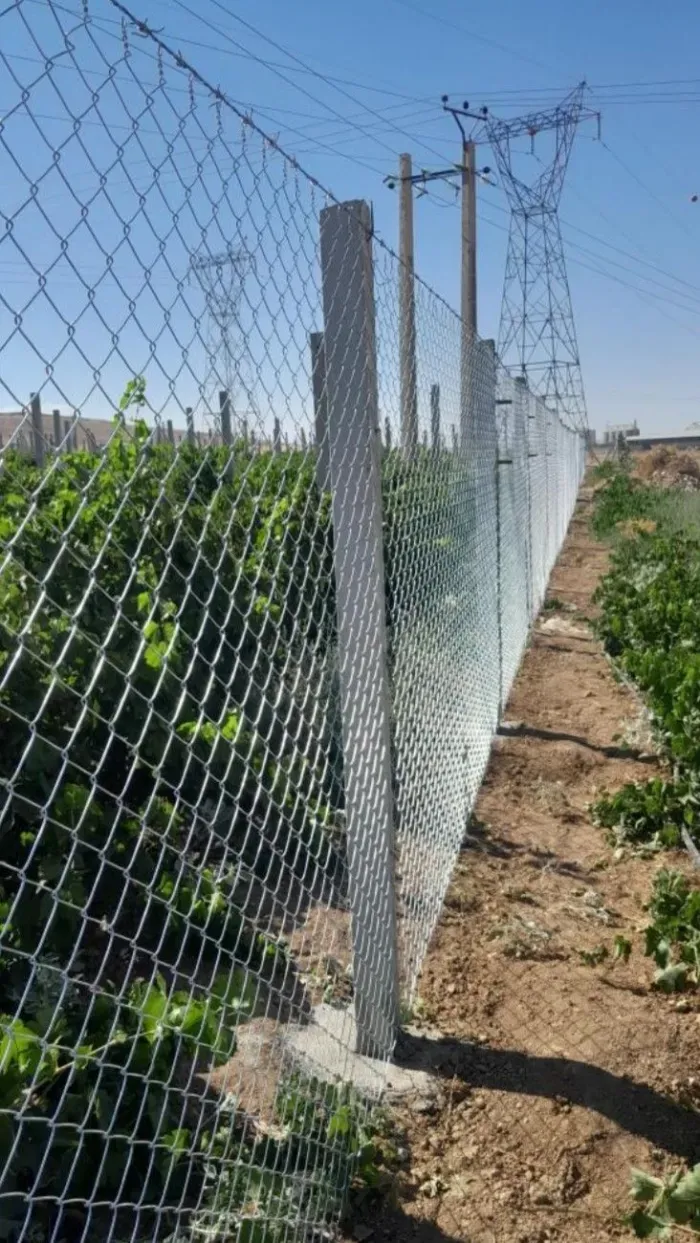 ورشة حداد شبوك أسلاك مجلفنة بالجنوب