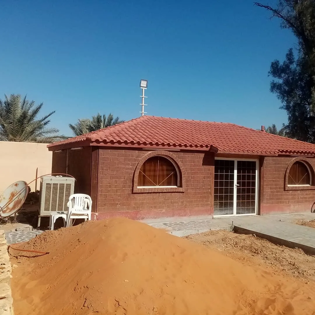 ملاحق ومجالس البناء الحديث ومجالس ملكيه في الجنوب