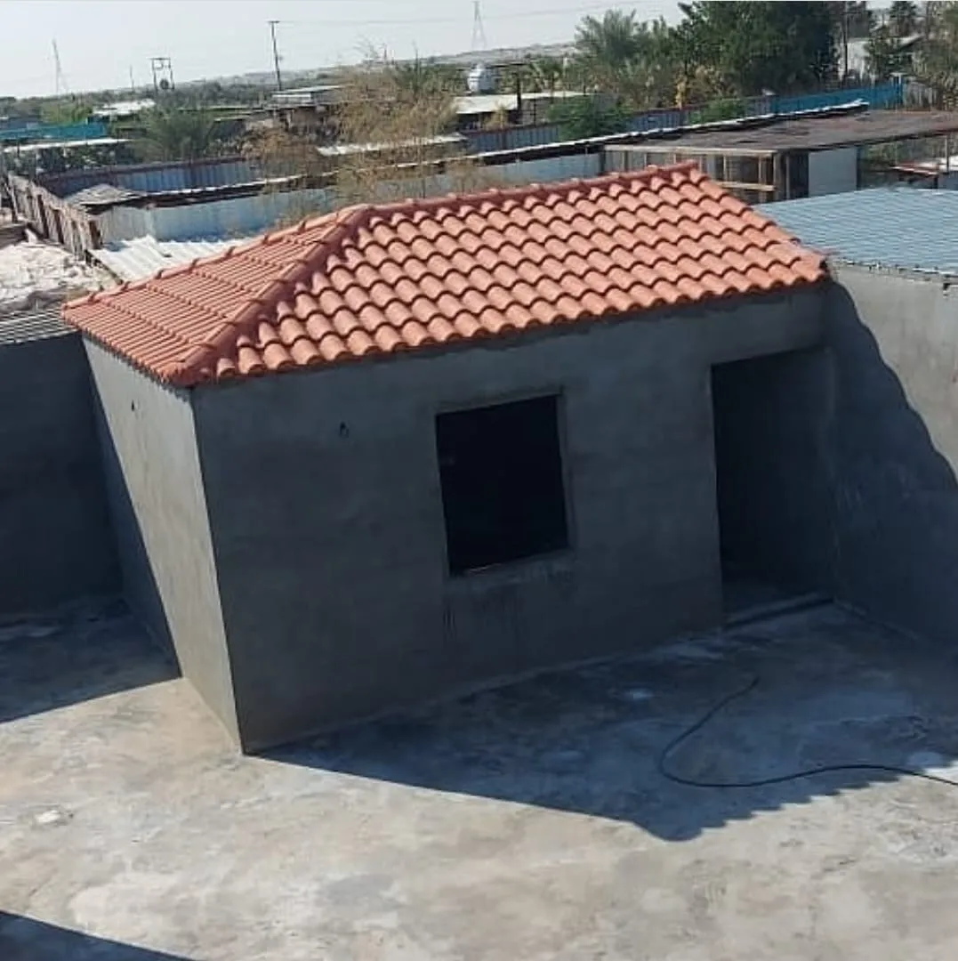 ملاحق ومجالس البناء الحديث ومجالس ملكيه في الجنوب