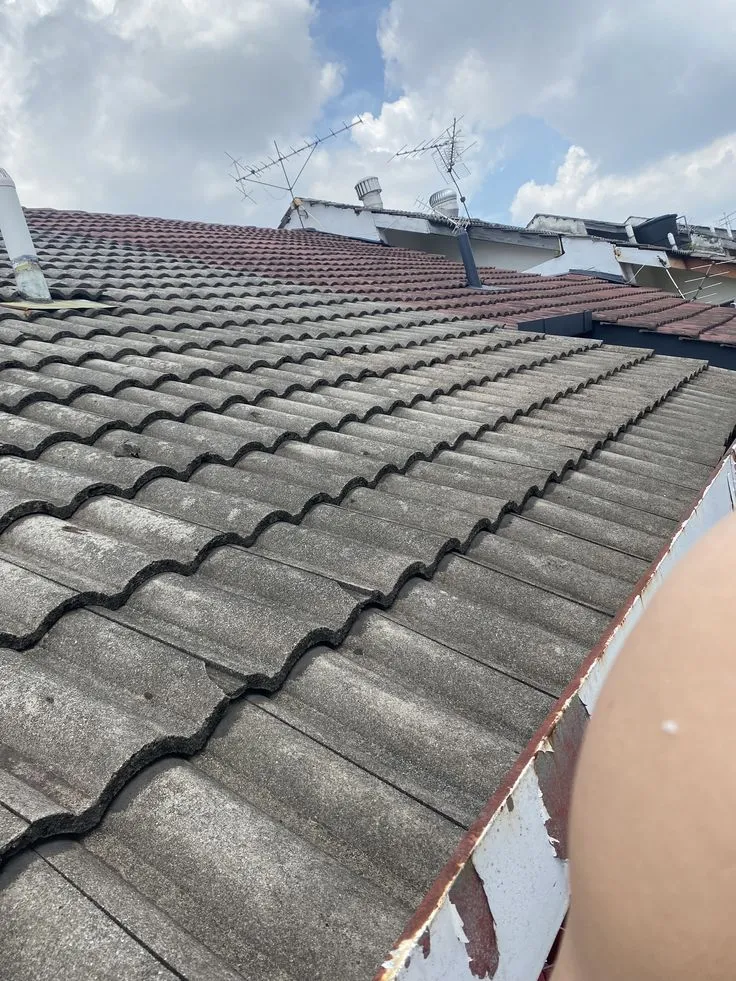 دليل تركيب قرميد الأسطح في الجنوب:الأنواع،والأسعار